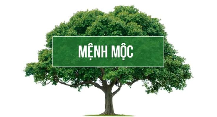 con-so-hop-menh-moc4